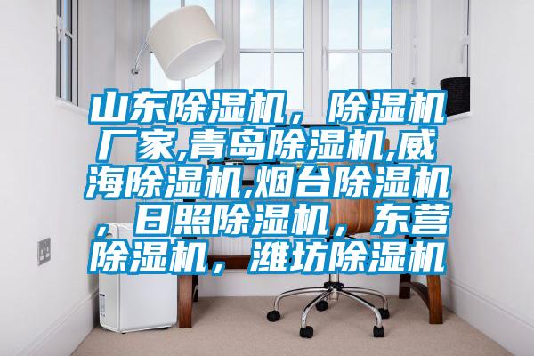 山東除濕機(jī)，除濕機(jī)廠家,青島除濕機(jī),威海除濕機(jī),煙臺(tái)除濕機(jī)，日照除濕機(jī)，東營(yíng)除濕機(jī)，濰坊除濕機(jī)