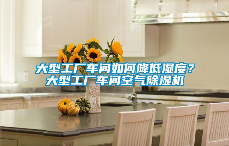 大型工廠車(chē)間如何降低濕度?大型工廠車(chē)間空氣除濕機(jī)