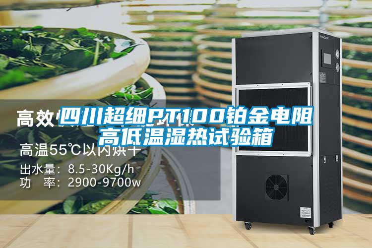 四川超細(xì)PT100鉑金電阻高低溫濕熱試驗箱