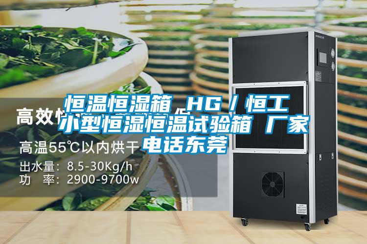 恒溫恒濕箱 HG/恒工 小型恒濕恒溫試驗箱 廠家電話東莞
