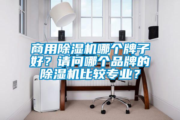 商用除濕機(jī)哪個(gè)牌子好？請(qǐng)問哪個(gè)品牌的除濕機(jī)比較專業(yè)？