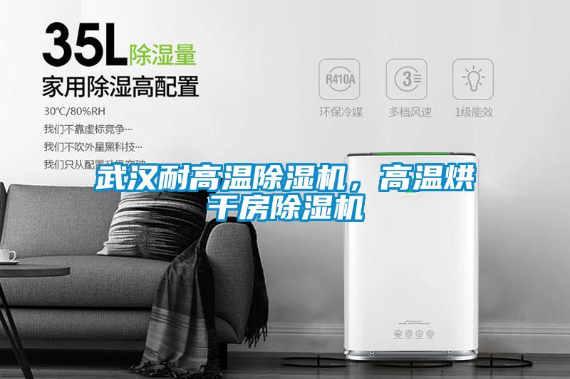 武漢耐高溫除濕機，高溫烘干房除濕機