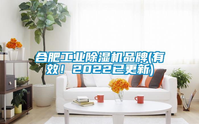 合肥工業(yè)除濕機品牌(有效！2022已更新)