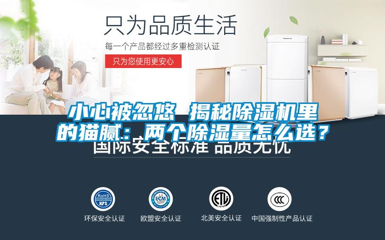 小心被忽悠 揭秘除濕機里的貓膩：兩個除濕量怎么選？