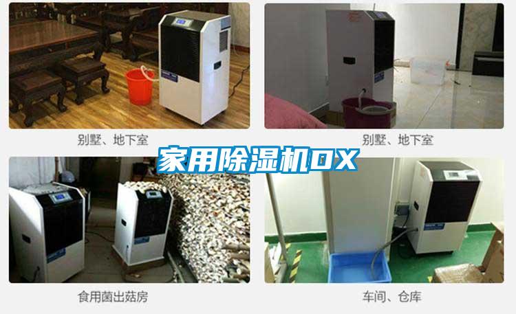 家用除濕機(jī)DX