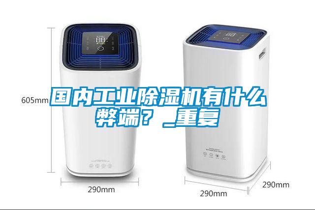 國內工業(yè)除濕機有什么弊端?_重復