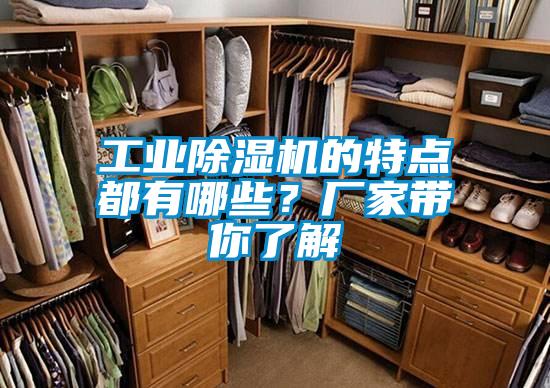 工業(yè)除濕機(jī)的特點(diǎn)都有哪些？廠家?guī)懔私?/></p>
						    <p style=