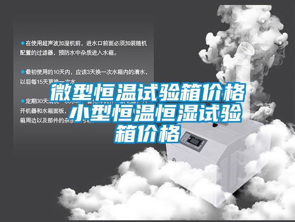 微型恒溫試驗(yàn)箱價(jià)格 小型恒溫恒濕試驗(yàn)箱價(jià)格