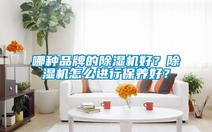 哪種品牌的除濕機好？除濕機怎么進行保養好？