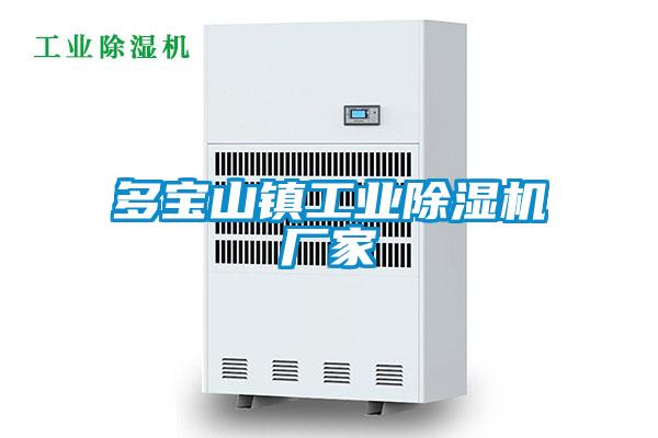 多寶山鎮(zhèn)工業(yè)除濕機(jī)廠(chǎng)家