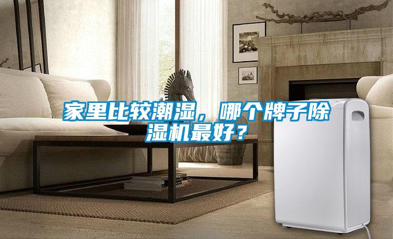 家里比較潮濕，哪個(gè)牌子除濕機(jī)最好？