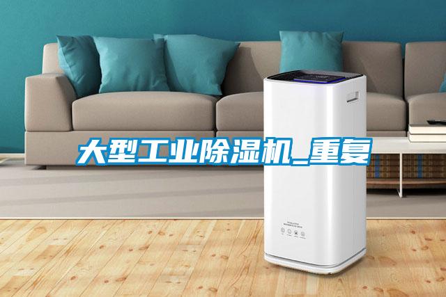 大型工業(yè)除濕機_重復(fù)