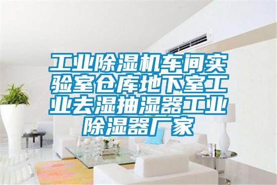 工業(yè)除濕機車間實驗室倉庫地下室工業(yè)去濕抽濕器工業(yè)除濕器廠家