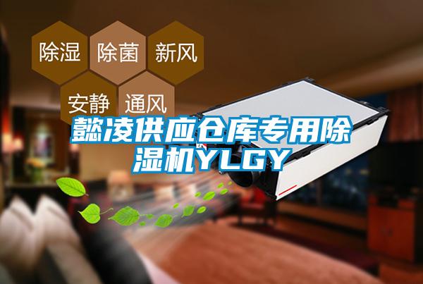 懿凌供應(yīng)倉庫專用除濕機YLGY