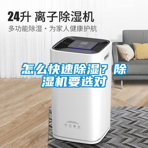 怎么快速除濕？除濕機要選對