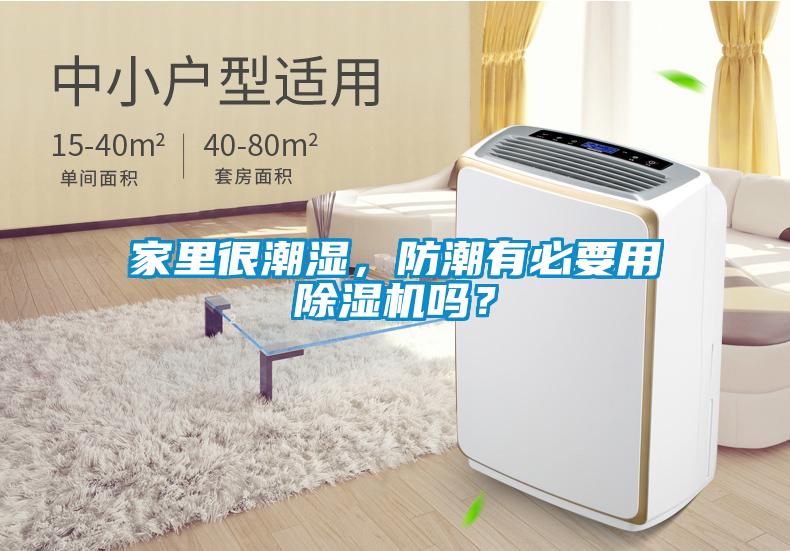 家里很潮濕，防潮有必要用除濕機嗎？