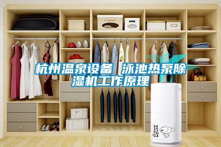 杭州溫泉設(shè)備 泳池熱泵除濕機工作原理