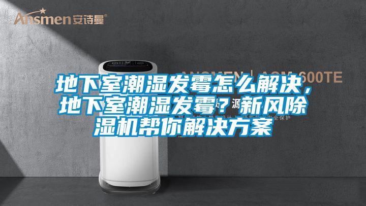 地下室潮濕發霉怎么解決，地下室潮濕發霉？新風除濕機幫你解決方案