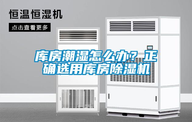 庫房潮濕怎么辦?正確選用庫房除濕機