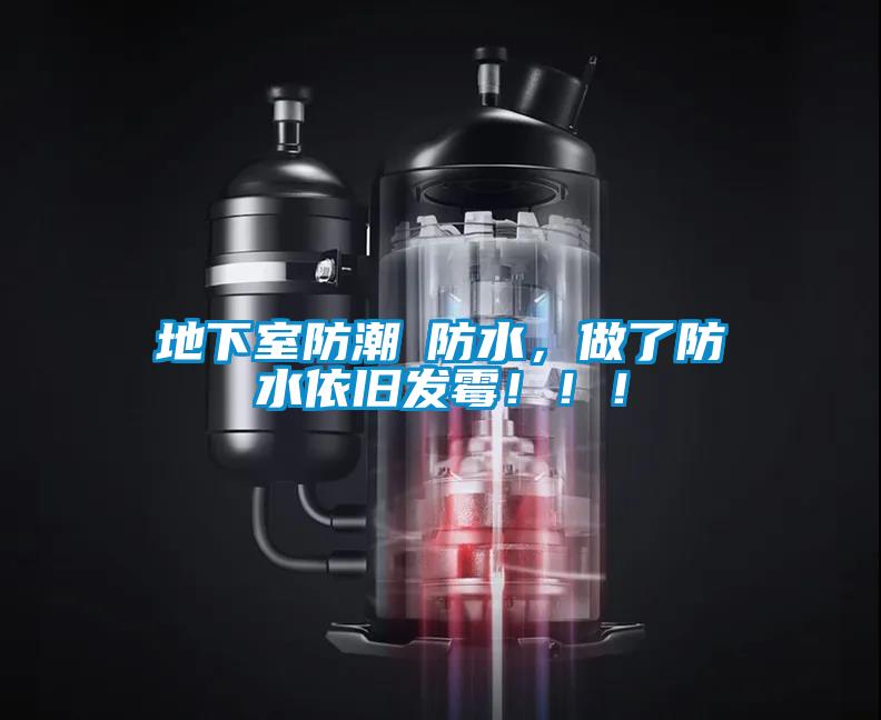 地下室防潮≠防水，做了防水依舊發霉！??！