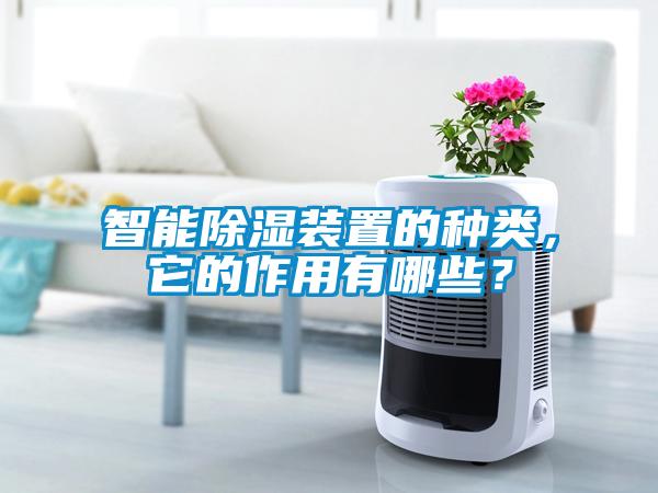 智能除濕裝置的種類，它的作用有哪些？