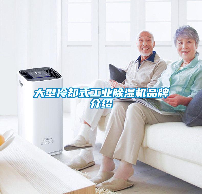 大型冷卻式工業(yè)除濕機(jī)品牌介紹
