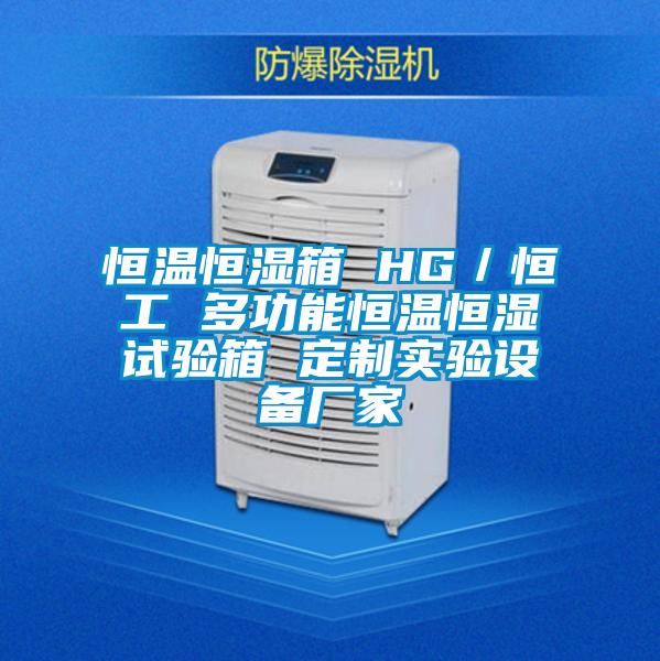 恒溫恒濕箱 HG/恒工 多功能恒溫恒濕試驗(yàn)箱 定制實(shí)驗(yàn)設(shè)備廠家