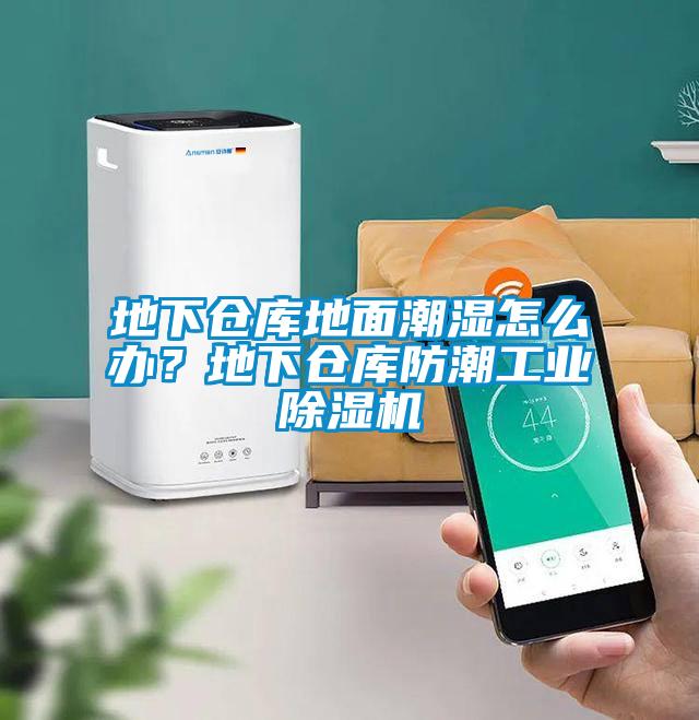 地下倉庫地面潮濕怎么辦?地下倉庫防潮工業除濕機