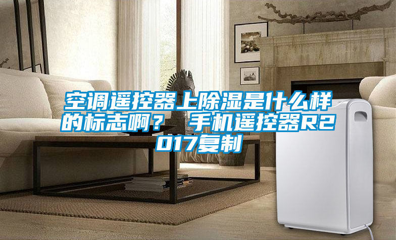 空調(diào)遙控器上除濕是什么樣的標(biāo)志??？ 手機(jī)遙控器R2017復(fù)制