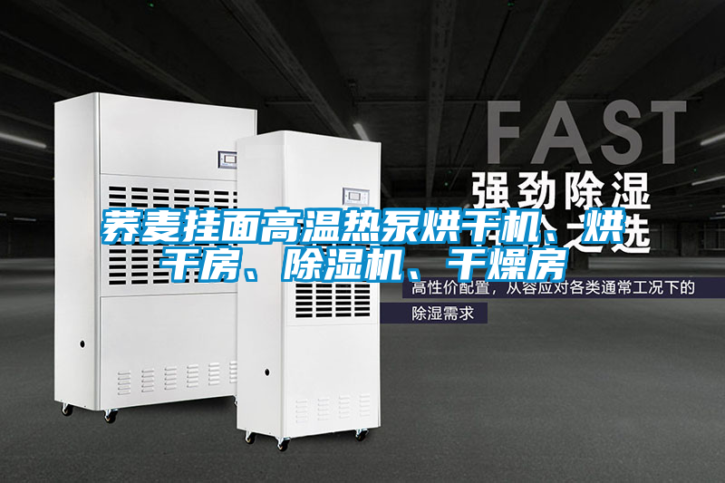 蕎麥掛面高溫?zé)岜煤娓蓹C、烘干房、除濕機、干燥房