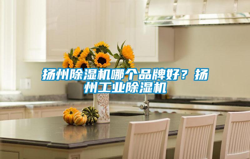 揚州除濕機哪個品牌好？揚州工業除濕機