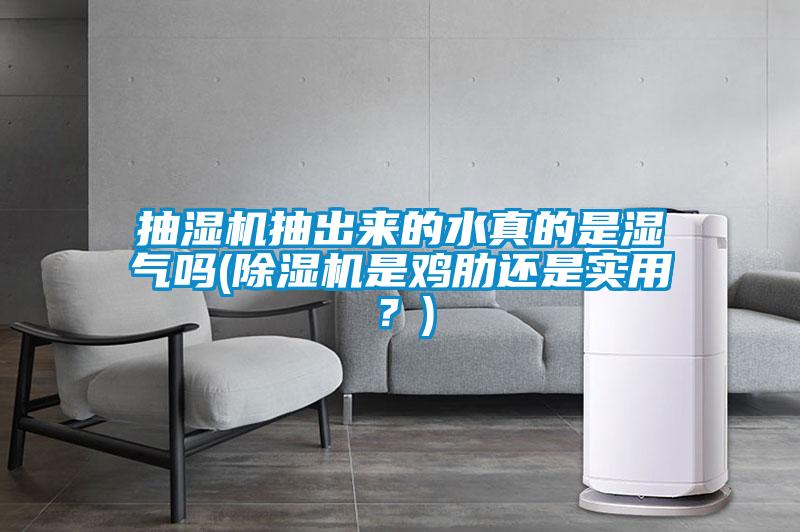 抽濕機抽出來的水真的是濕氣嗎(除濕機是雞肋還是實用？)