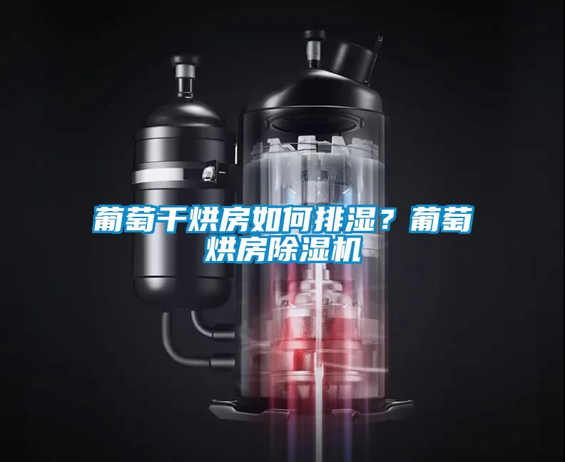 葡萄干烘房如何排濕？葡萄烘房除濕機(jī)