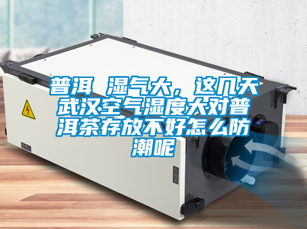 普洱 濕氣大，這幾天武漢空氣濕度大對(duì)普洱茶存放不好怎么防潮呢