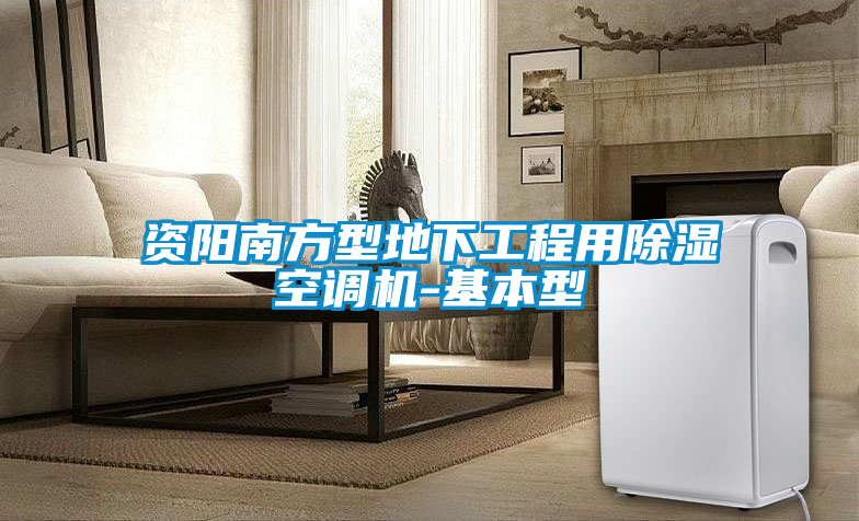 資陽南方型地下工程用除濕空調(diào)機-基本型