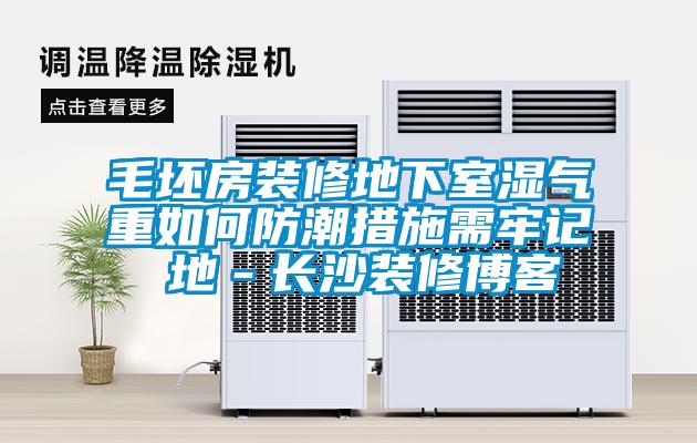 毛坯房裝修地下室濕氣重如何防潮措施需牢記 地-長沙裝修博客