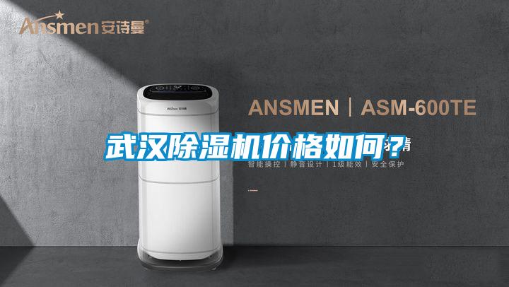 武漢除濕機價格如何？