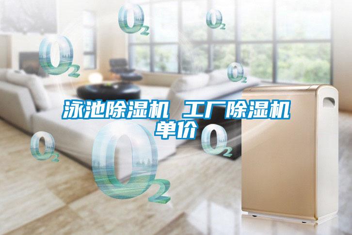 泳池除濕機(jī) 工廠除濕機(jī)單價(jià)