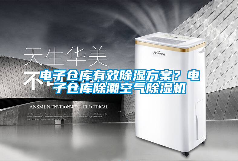 電子倉(cāng)庫(kù)有效除濕方案？電子倉(cāng)庫(kù)除潮空氣除濕機(jī)
