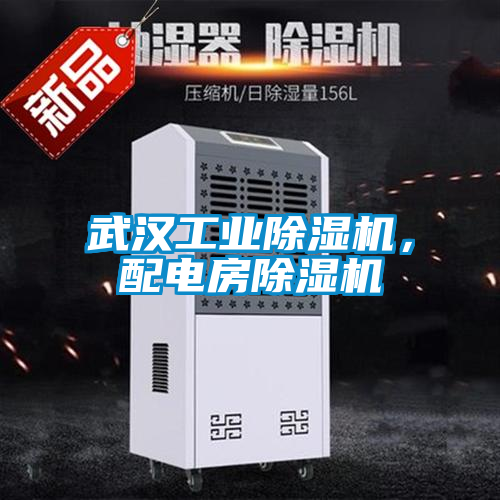 武漢工業(yè)除濕機，配電房除濕機