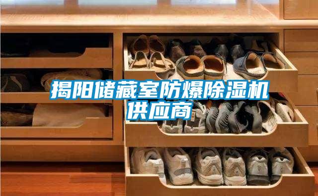 揭陽儲藏室防爆除濕機供應商