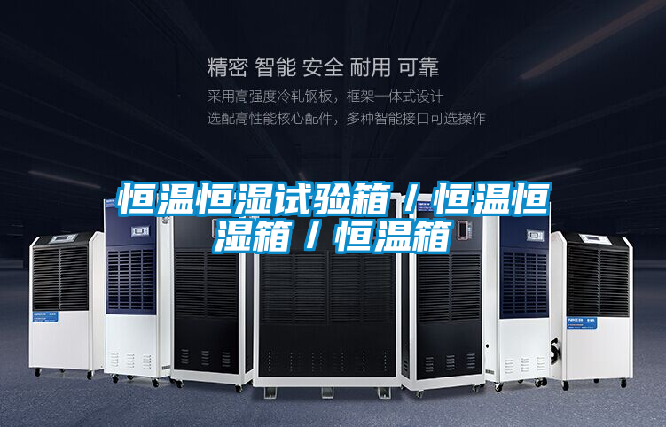 恒溫恒濕試驗箱/恒溫恒濕箱/恒溫箱