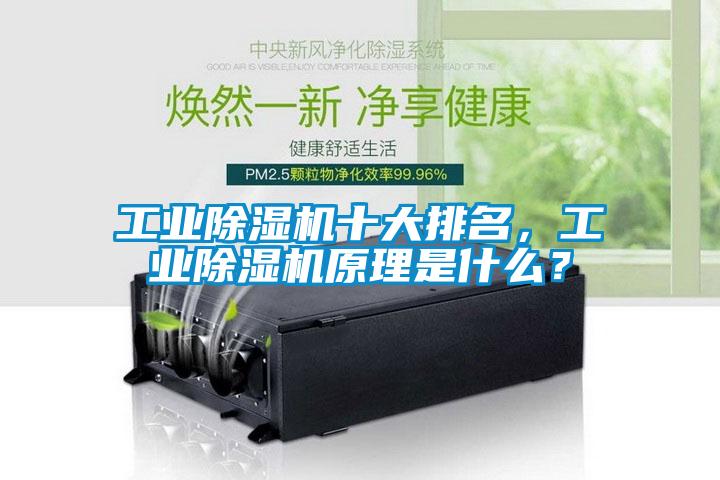 工業(yè)除濕機(jī)十大排名，工業(yè)除濕機(jī)原理是什么？