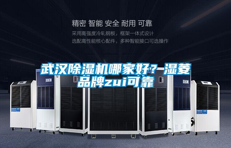 武漢除濕機(jī)哪家好？濕菱品牌zui可靠
