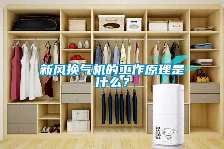 新風(fēng)換氣機的工作原理是什么？