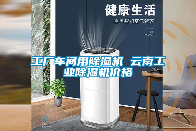 工廠車間用除濕機(jī) 云南工業(yè)除濕機(jī)價格