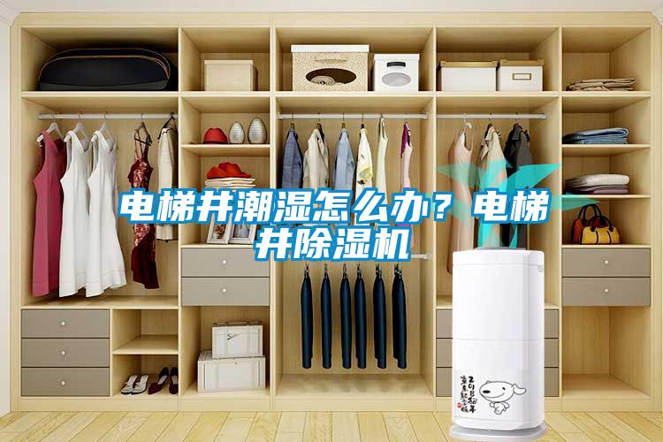 電梯井潮濕怎么辦？電梯井除濕機(jī)