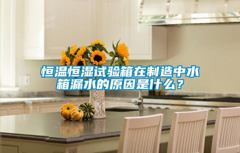 恒溫恒濕試驗箱在制造中水箱漏水的原因是什么？