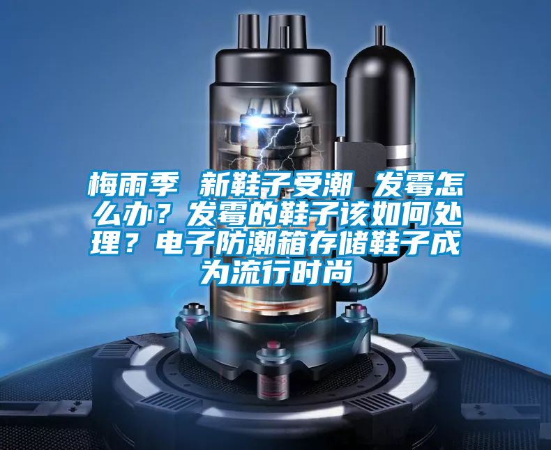 梅雨季 新鞋子受潮 發霉怎么辦？發霉的鞋子該如何處理？電子防潮箱存儲鞋子成為流行時尚