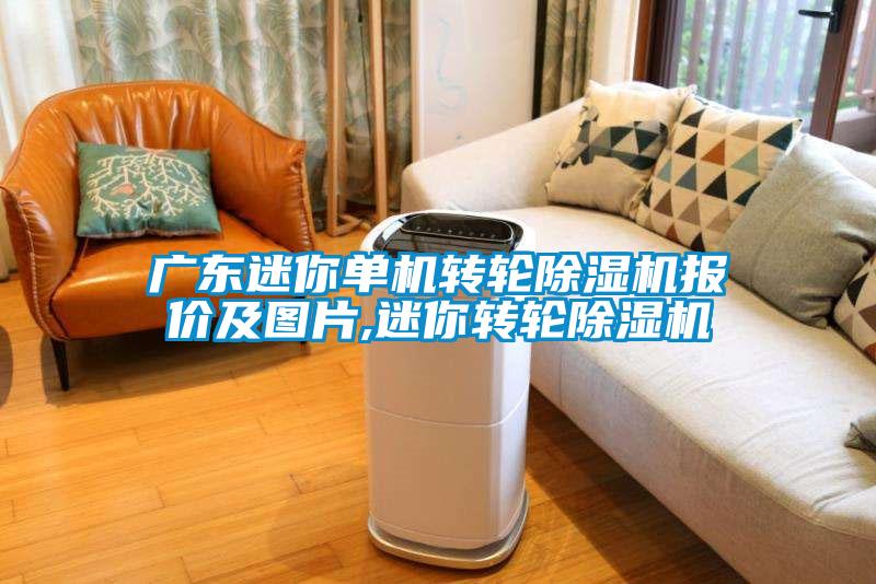 廣東迷你單機轉(zhuǎn)輪除濕機報價及圖片,迷你轉(zhuǎn)輪除濕機